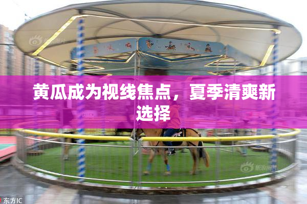 黄瓜成为视线焦点，夏季清爽新选择