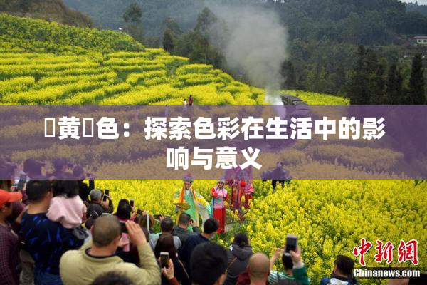 ✿黄✿色：探索色彩在生活中的影响与意义
