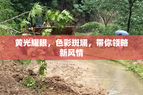 黄光耀眼，色彩斑斓，带你领略新风情