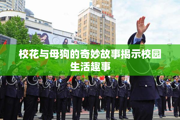 校花与母狗的奇妙故事揭示校园生活趣事