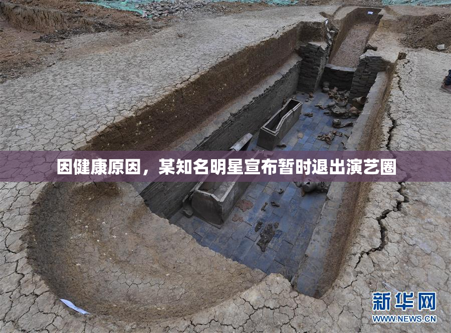 因健康原因，某知名明星宣布暂时退出演艺圈
