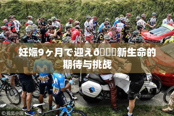 妊娠9ヶ月で迎え🌃新生命的期待与挑战