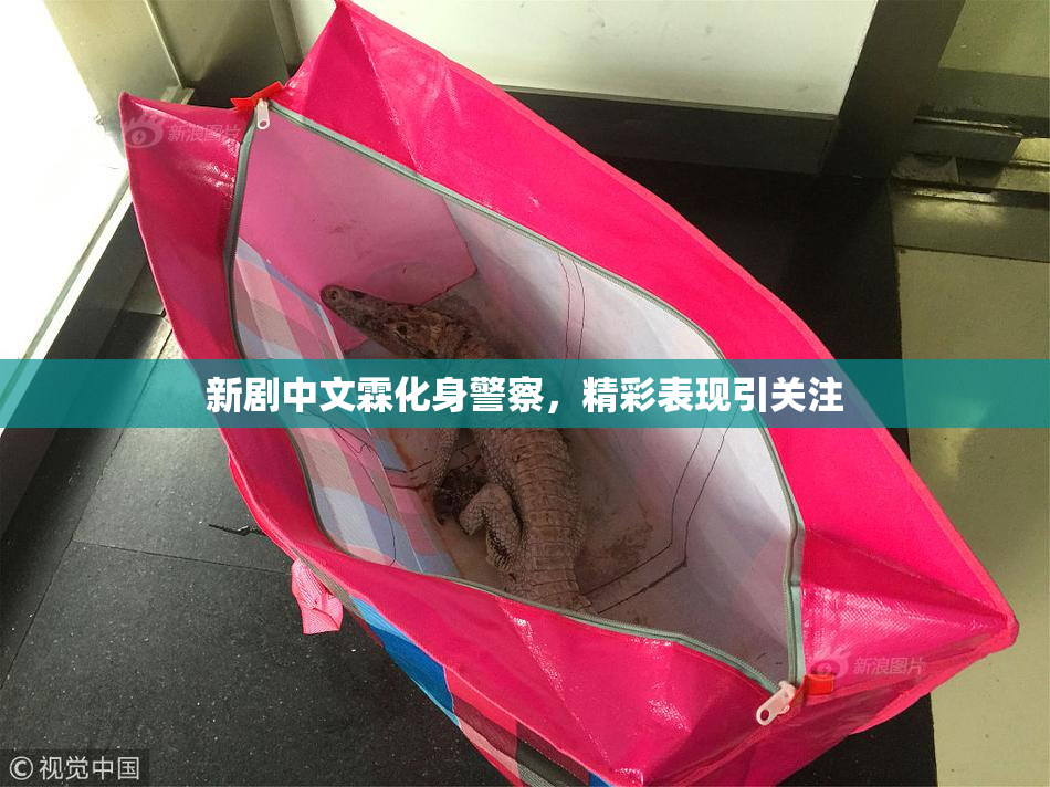 新剧中文霖化身警察，精彩表现引关注