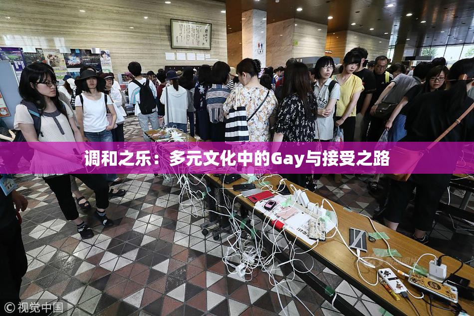调和之乐：多元文化中的Gay与接受之路