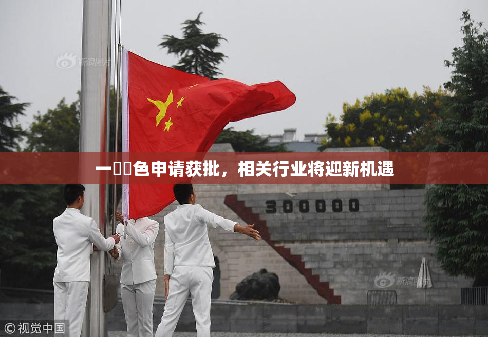 一級黃色申请获批，相关行业将迎新机遇