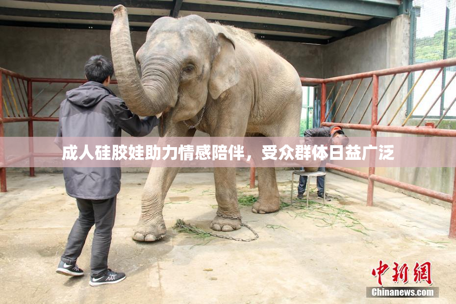 成人硅胶娃助力情感陪伴，受众群体日益广泛