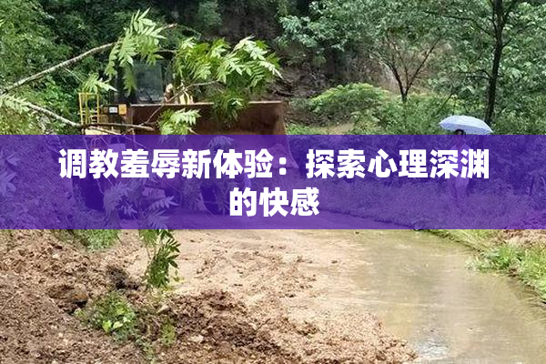 调教羞辱新体验：探索心理深渊的快感