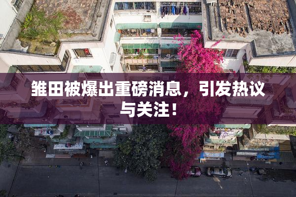雏田被爆出重磅消息，引发热议与关注！