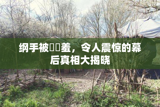 纲手被❌‌羞，令人震惊的幕后真相大揭晓