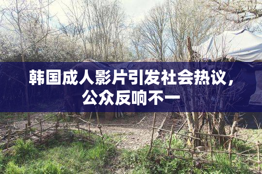 韩国成人影片引发社会热议，公众反响不一