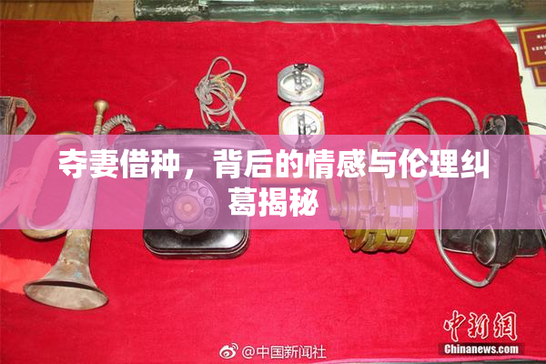 夺妻借种，背后的情感与伦理纠葛揭秘