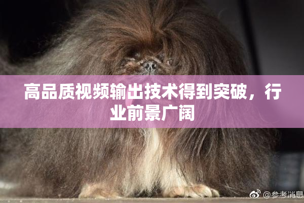 高品质视频输出技术得到突破，行业前景广阔