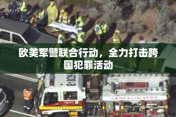 欧美军警联合行动，全力打击跨国犯罪活动