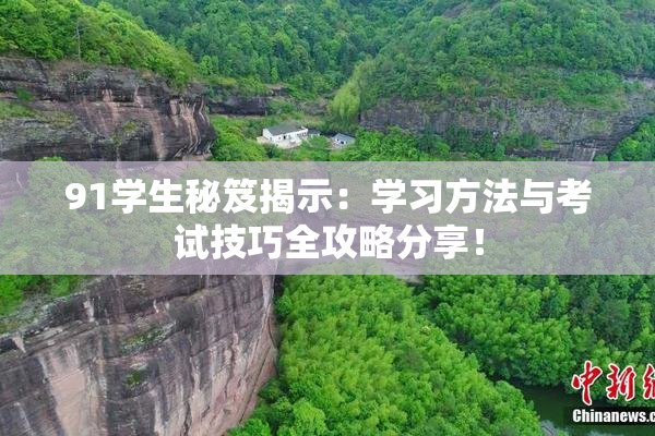 91学生秘笈揭示：学习方法与考试技巧全攻略分享！