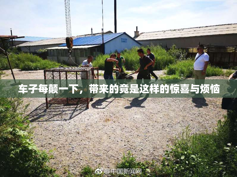 车子每颠一下，带来的竟是这样的惊喜与烦恼