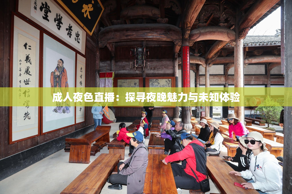 成人夜色直播：探寻夜晚魅力与未知体验