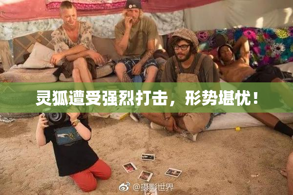 灵狐遭受强烈打击，形势堪忧！