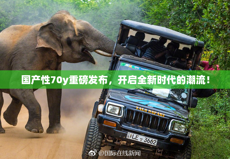 国产性70y重磅发布，开启全新时代的潮流！