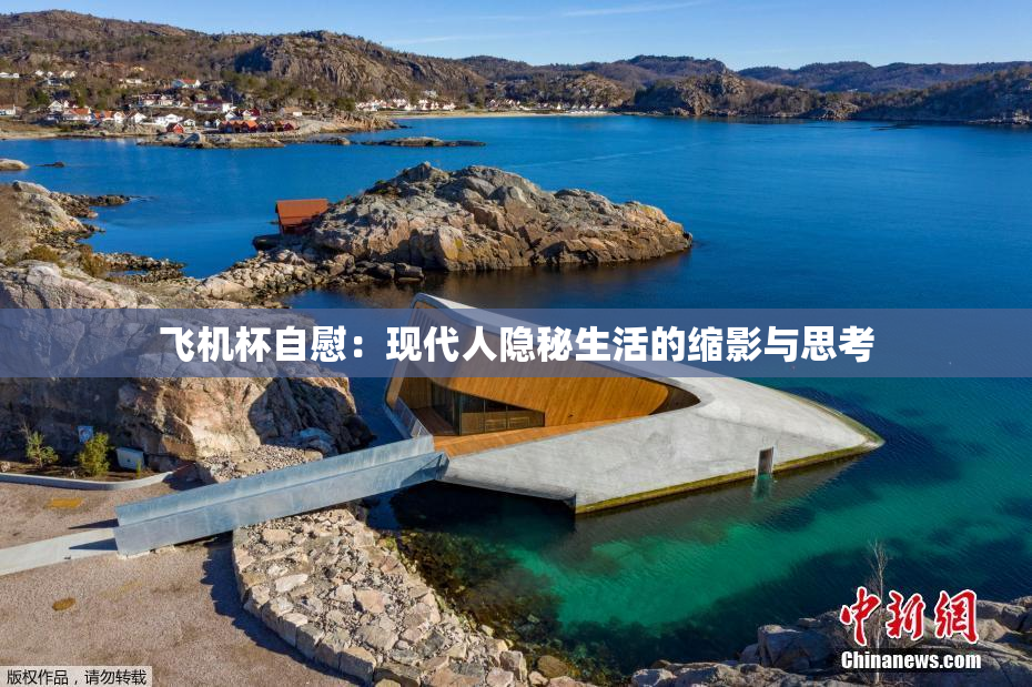 飞机杯自慰：现代人隐秘生活的缩影与思考