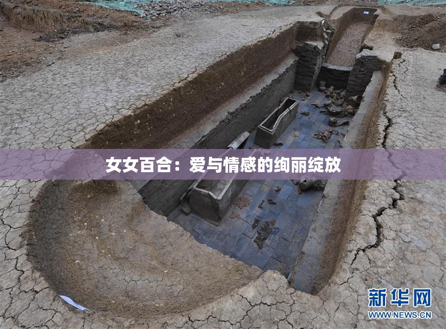 女女百合：爱与情感的绚丽绽放