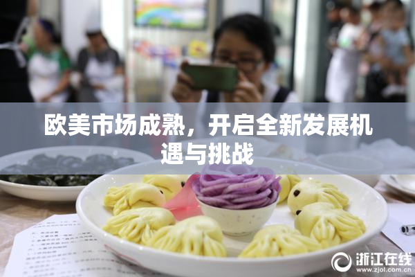 欧美市场成熟，开启全新发展机遇与挑战