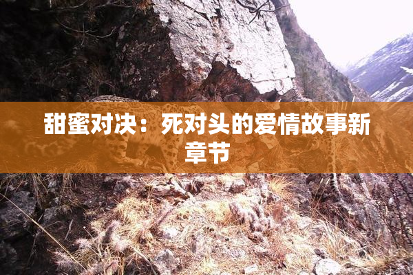 甜蜜对决：死对头的爱情故事新章节