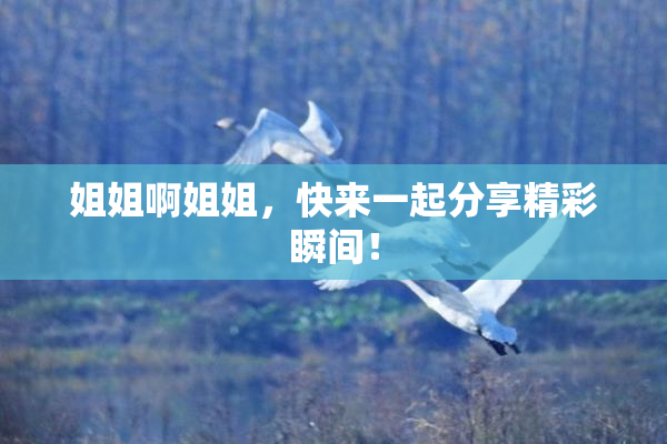 姐姐啊姐姐，快来一起分享精彩瞬间！