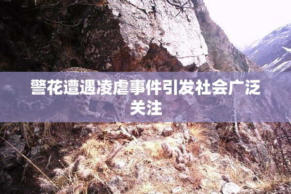 警花遭遇凌虐事件引发社会广泛关注