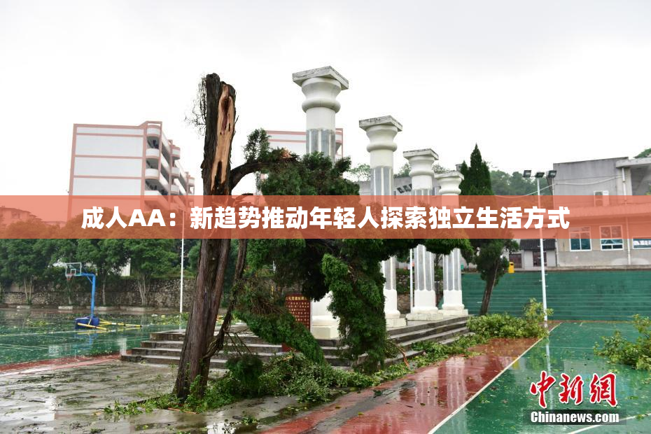 成人AA：新趋势推动年轻人探索独立生活方式