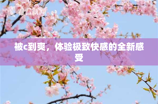 被c到爽，体验极致快感的全新感受