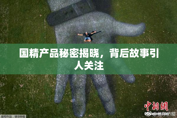 国精产品秘密揭晓，背后故事引人关注