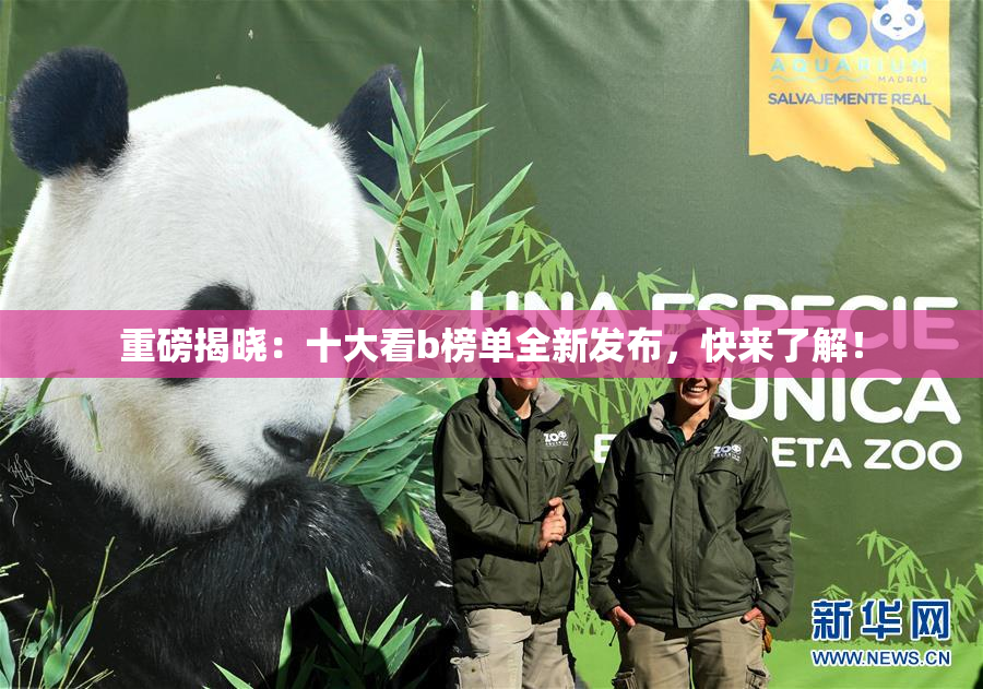 重磅揭晓：十大看b榜单全新发布，快来了解！