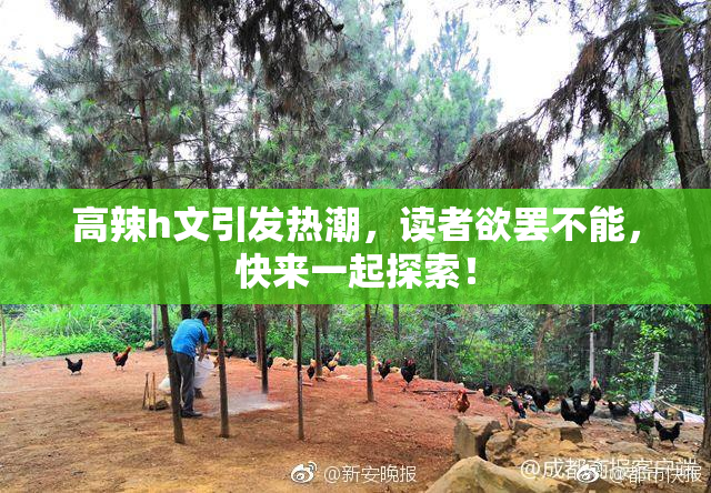 高辣h文引发热潮，读者欲罢不能，快来一起探索！