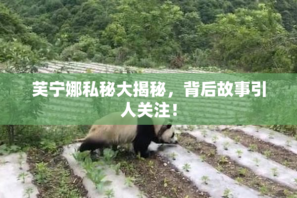 芙宁娜私秘大揭秘，背后故事引人关注！