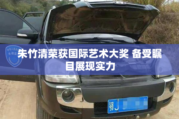 朱竹清荣获国际艺术大奖 备受瞩目展现实力
