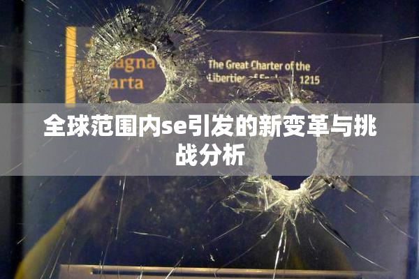 全球范围内se引发的新变革与挑战分析
