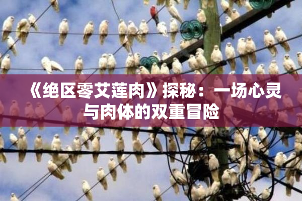 《绝区零艾莲肉》探秘：一场心灵与肉体的双重冒险