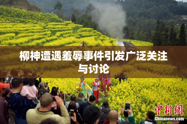 柳神遭遇羞辱事件引发广泛关注与讨论