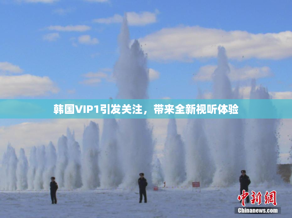 韩国VIP1引发关注，带来全新视听体验