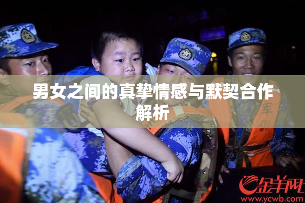 男女之间的真挚情感与默契合作解析
