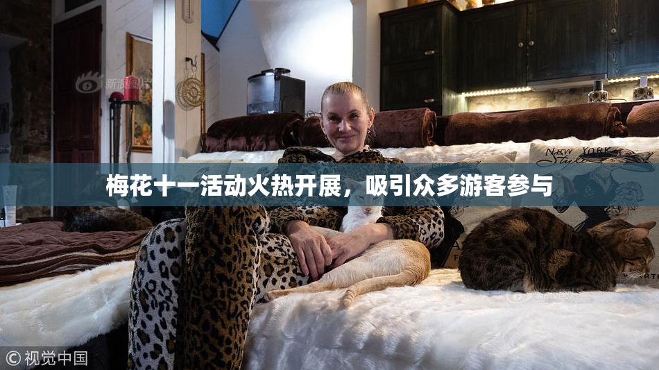 梅花十一活动火热开展，吸引众多游客参与