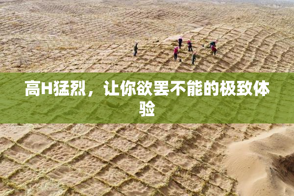 高H猛烈，让你欲罢不能的极致体验