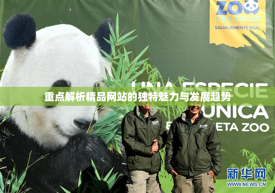 重点解析精品网站的独特魅力与发展趋势