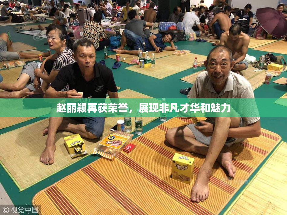 赵丽颖再获荣誉，展现非凡才华和魅力