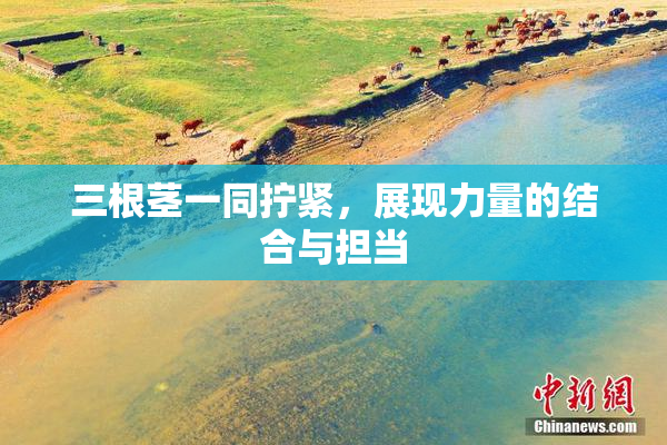 三根茎一同拧紧，展现力量的结合与担当