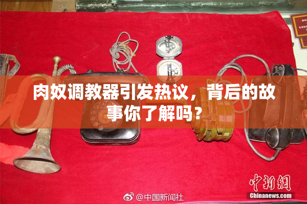 肉奴调教器引发热议，背后的故事你了解吗？