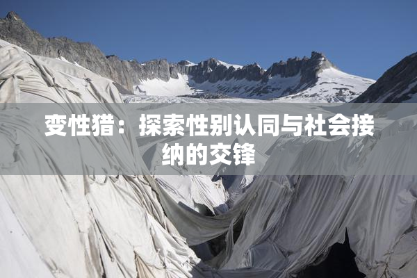 变性猎：探索性别认同与社会接纳的交锋