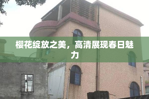 樱花绽放之美，高清展现春日魅力