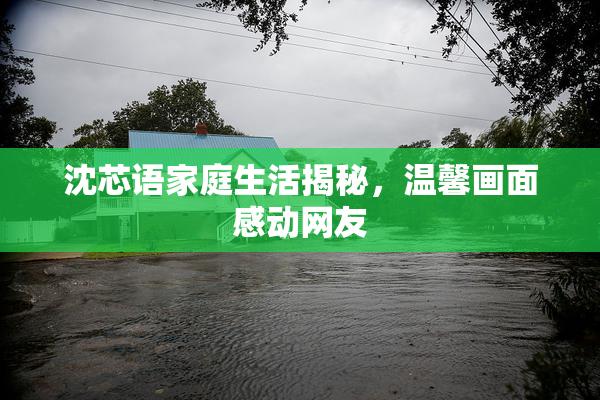 沈芯语家庭生活揭秘，温馨画面感动网友