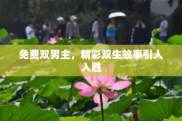 免费双男主，精彩双生故事引人入胜